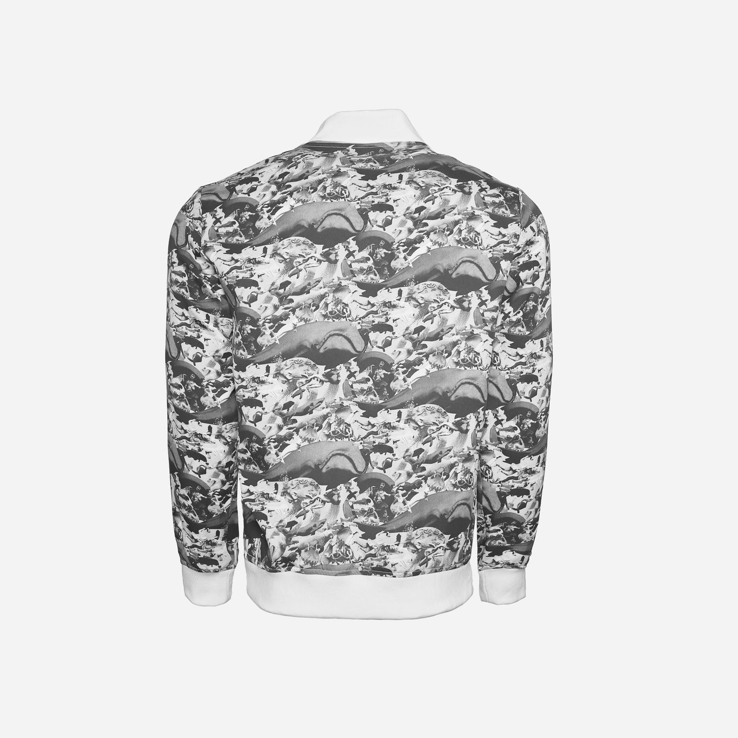 Second Edition Bomber